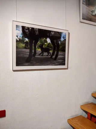 Kinder u. Jugend Kunst Galerie Sonnensegel e.V.