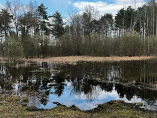Jezioro Czyste