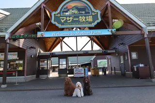 Mother Farm