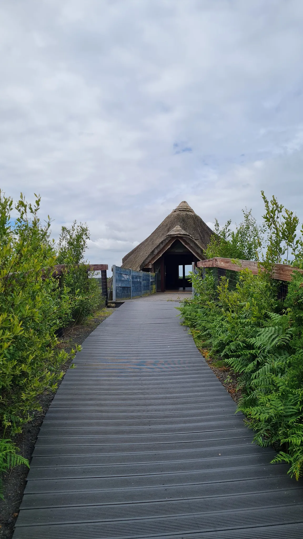 Lullymore Heritage & Discovery Park