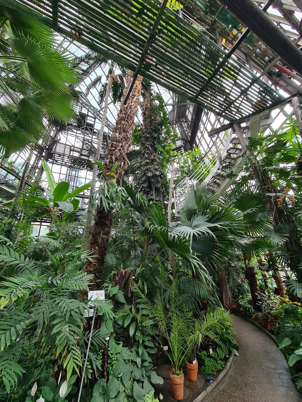 Ogród Botaniczny Uniwersytetu Jagiellońskiego