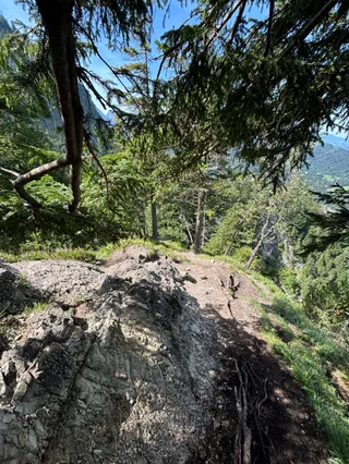 Neuschwanstein view point