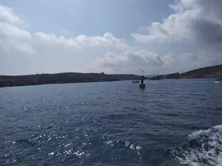 English Rose Cruises
