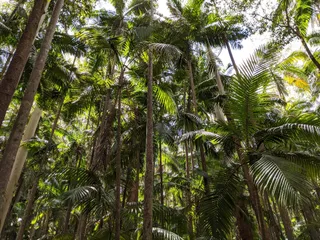 D'Aguilar National Park