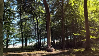 Marselisborg MTB spor