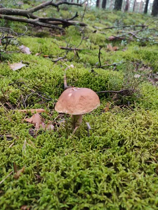 Gospodarstwo Agroturystyczne - Marka