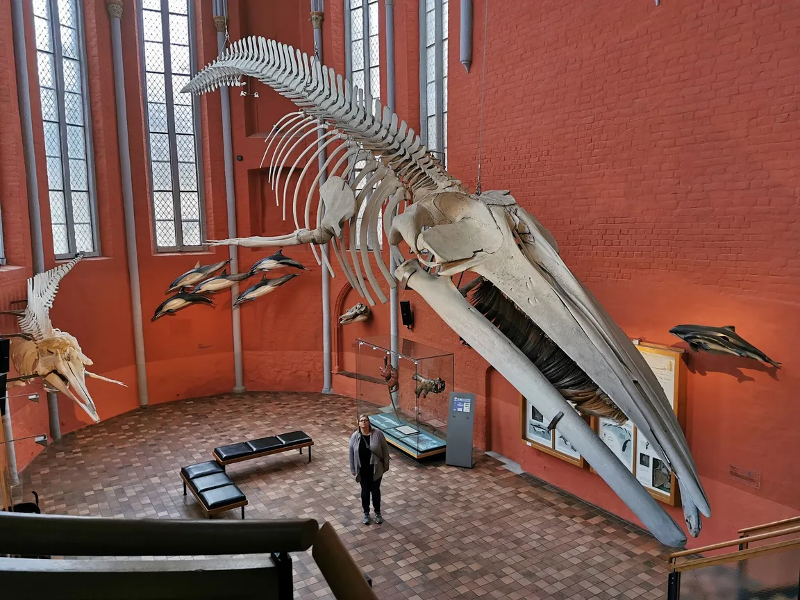 German Oceanographic Museum