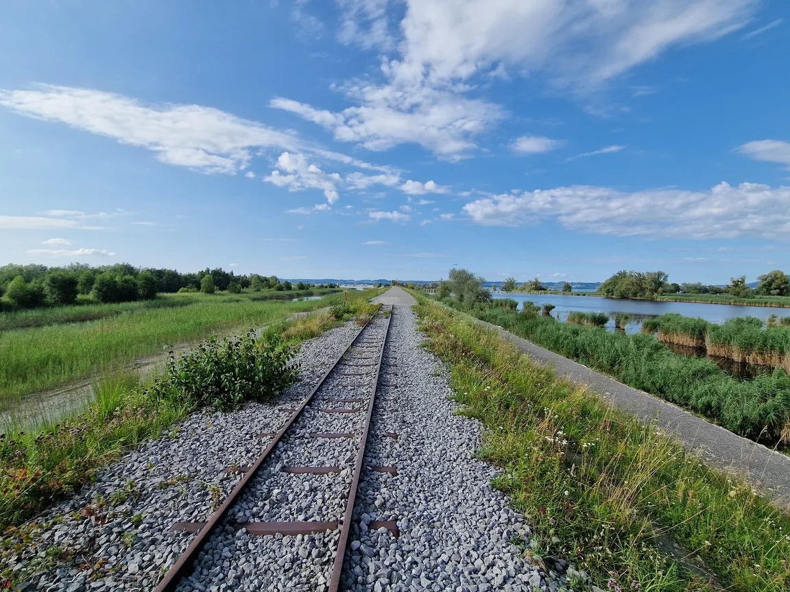 Lagunen-Rundwanderung Rheindelta - Bodensee