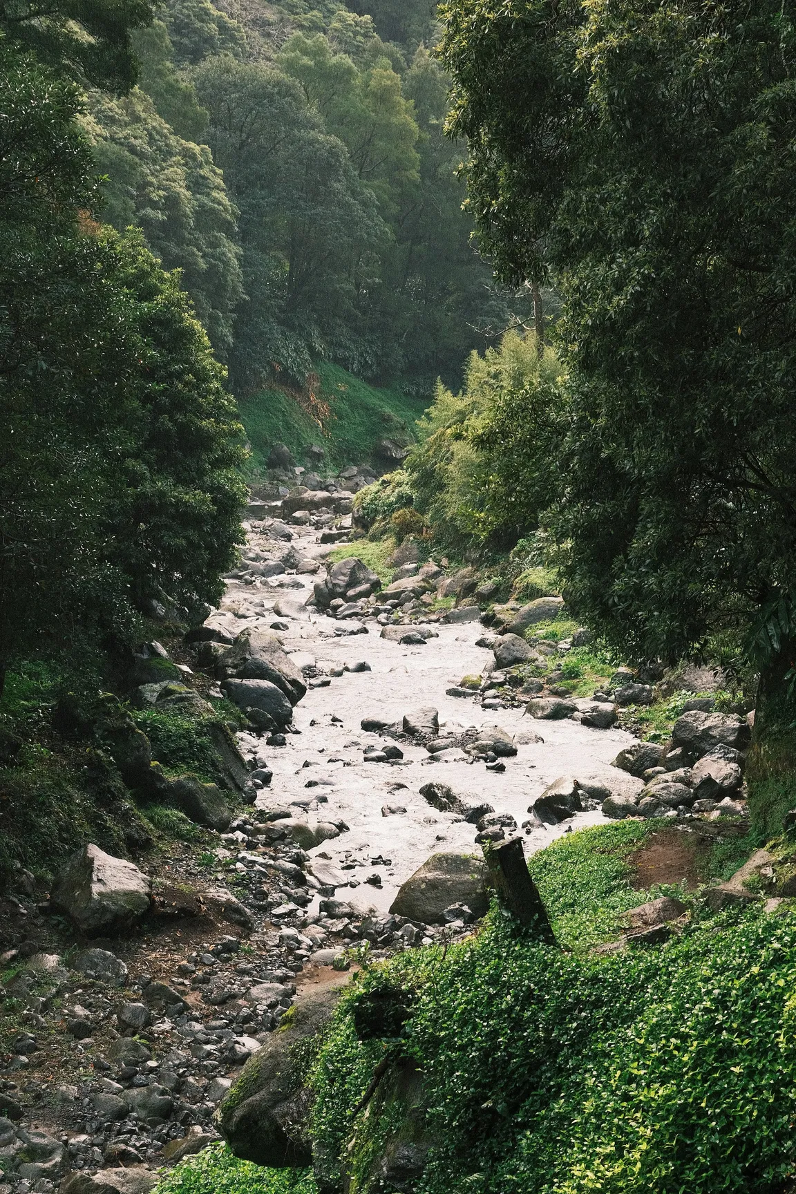 Ribeira do Faial da Terra Trailhead
