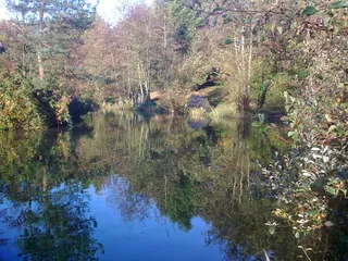 Lakeside-Fishing