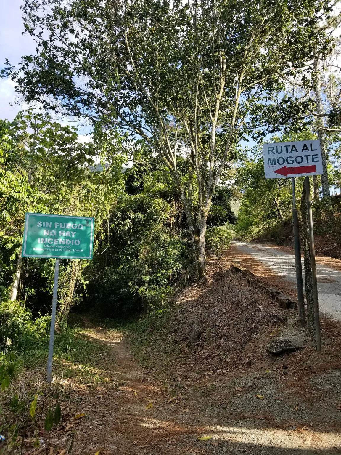 Montaña Mogote