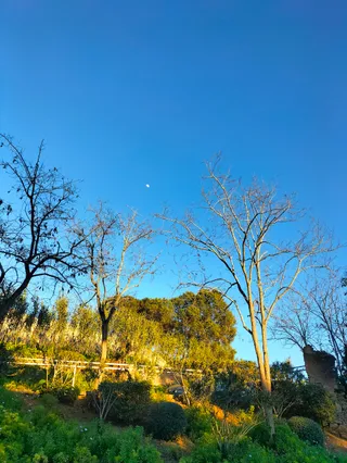 Vineyards Trail