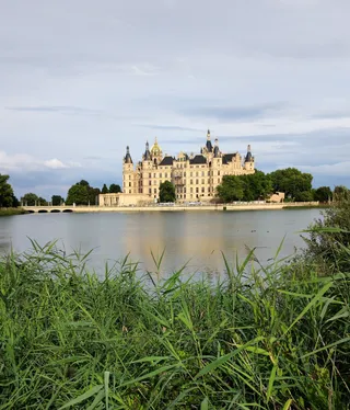 Schwimmende Wiese