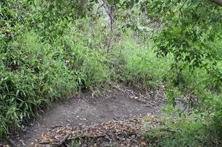 Hill Trail