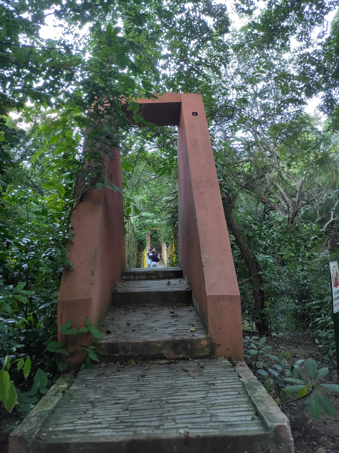 Puente colgante