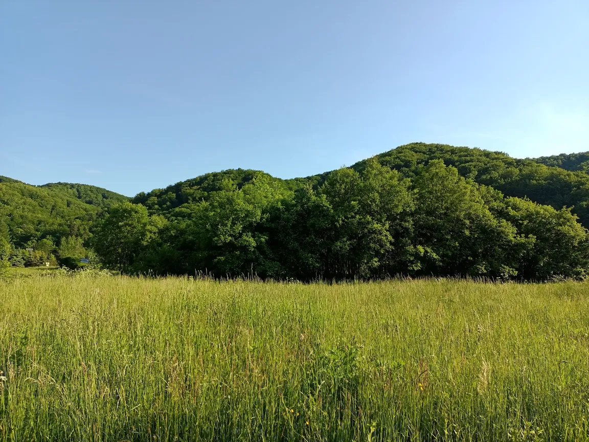 Bieszczady
