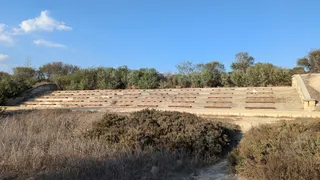 Birdwatching in Larnaka
