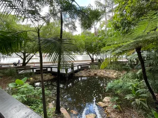 Rainforest Walk