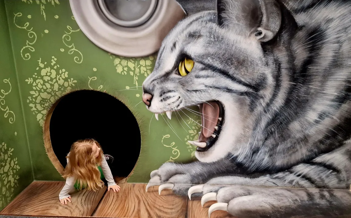 Museum of Fantastic Illusions