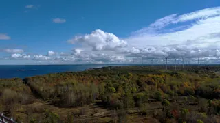 Majakivi