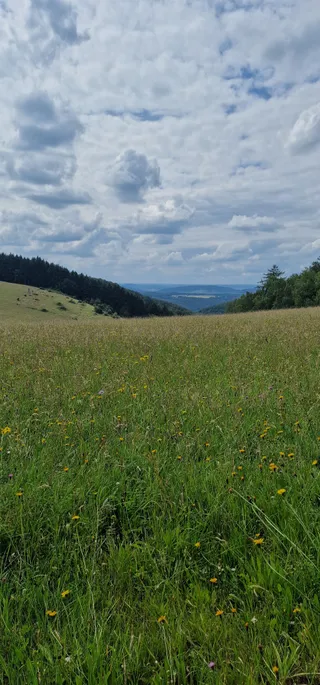 Wandern Mosel