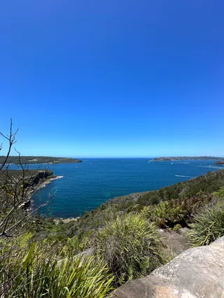 Manly To Spit Bridge Coastal Walk