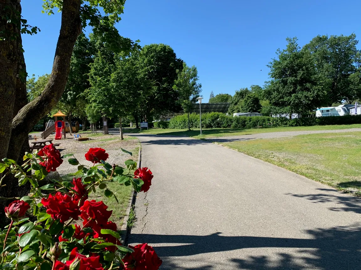 Campingplatz Horn