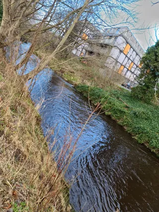 Water of Leith