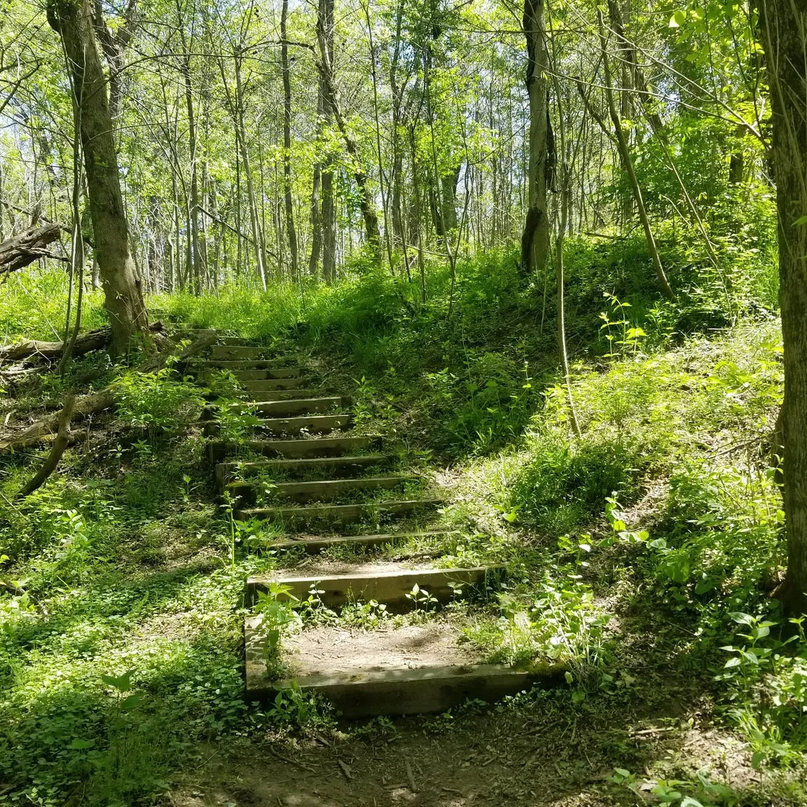 Louisville Nature Center