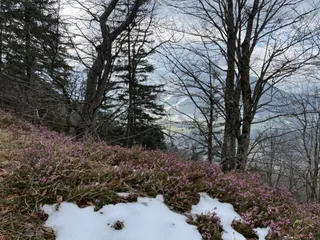 Kienberg Aussicht