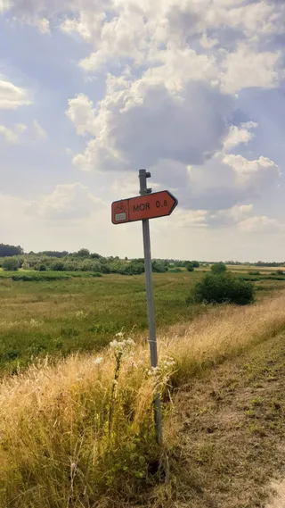 Wiślana Trasa Rowerowa