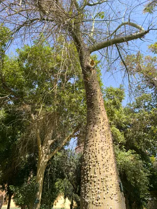 Aswan Botanical Garden