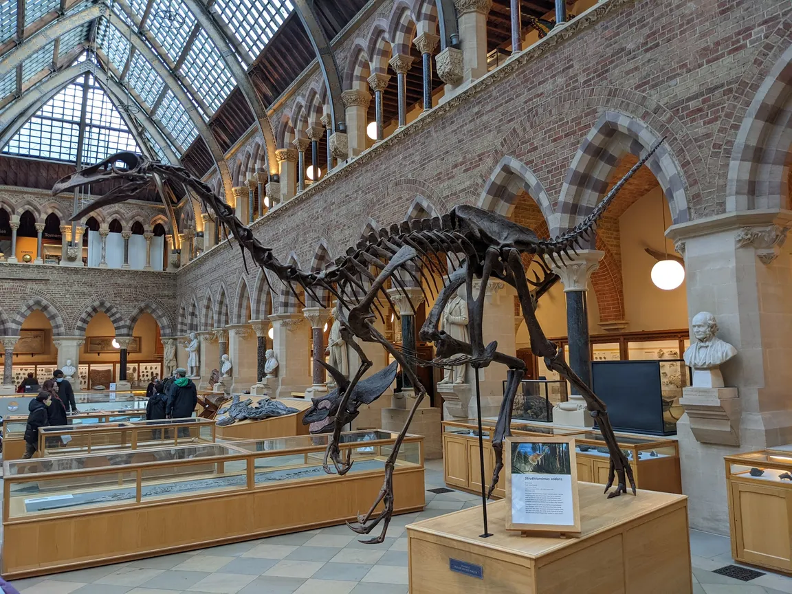 Oxford University Museum of Natural History