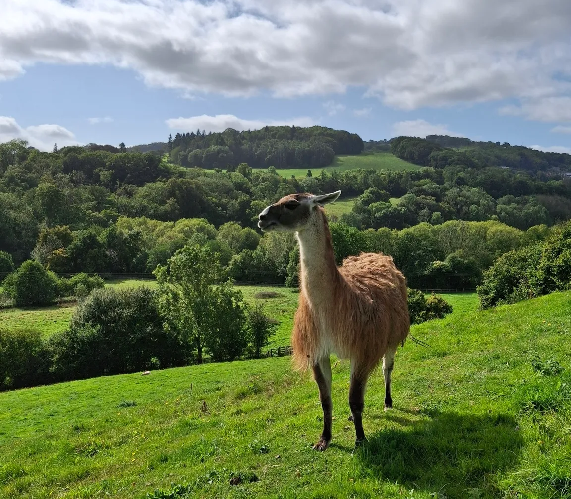 Tŷ Mawr Country Park