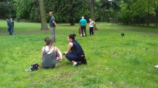 Psia polana
