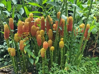 Botanischer Garten