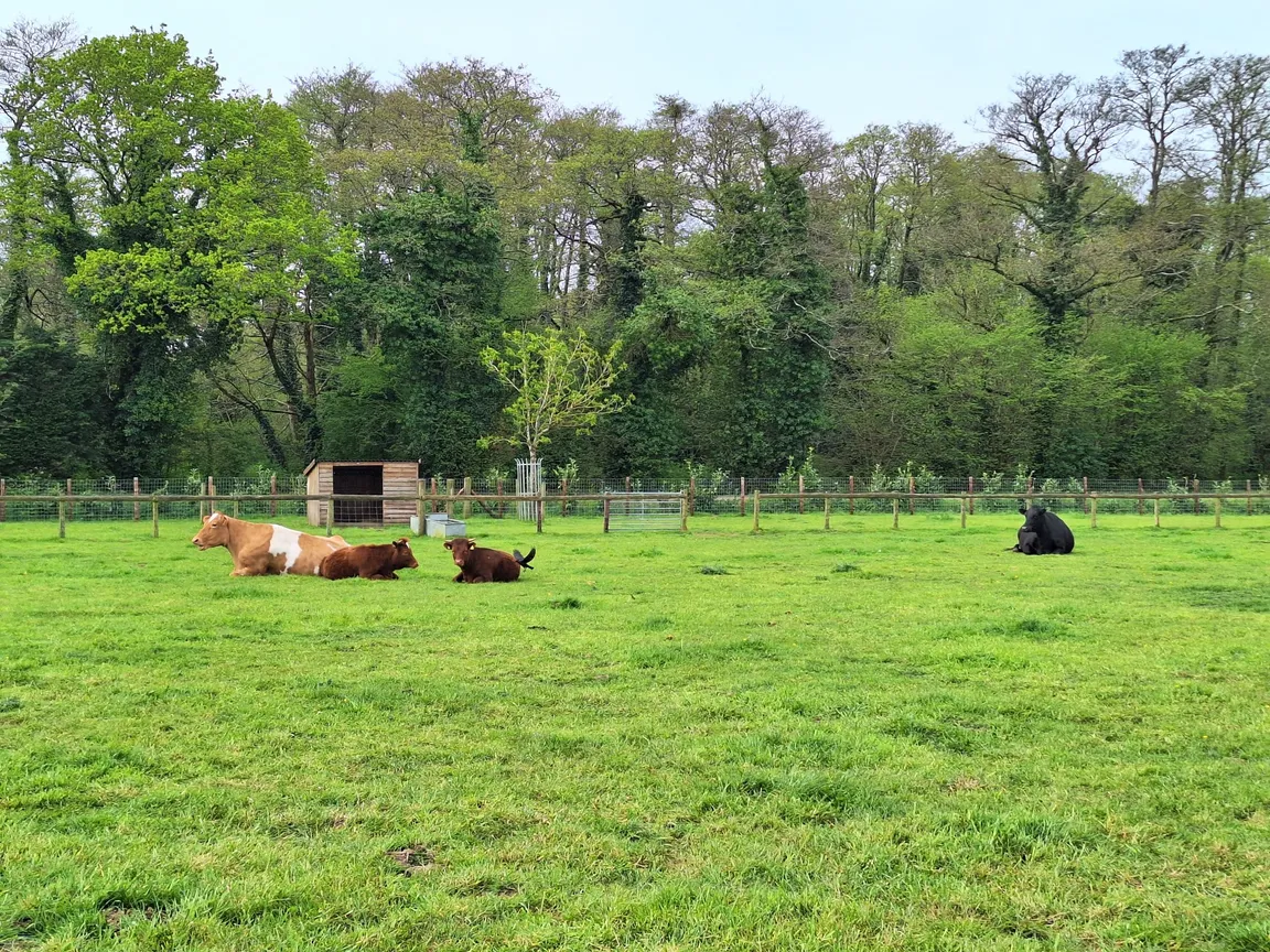 Farmer Palmer's Farm Park