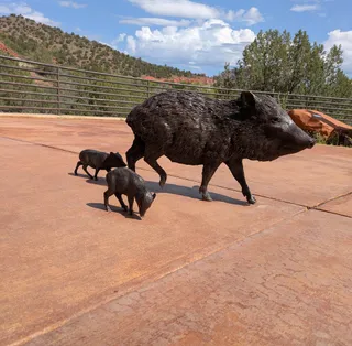 Red Rock Ranger District Visitor Center
