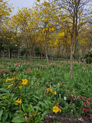 Xiqiao Mountain National Forest Pk.