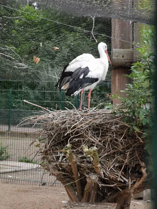 Per.anently closed zoo