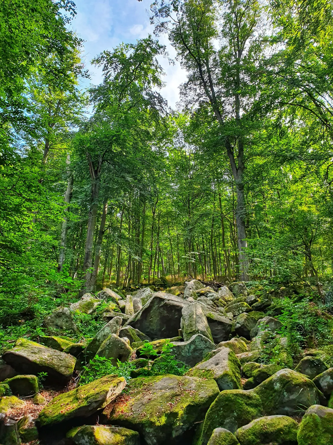 Felsenmeer