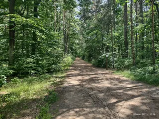 Źródła Królewskie