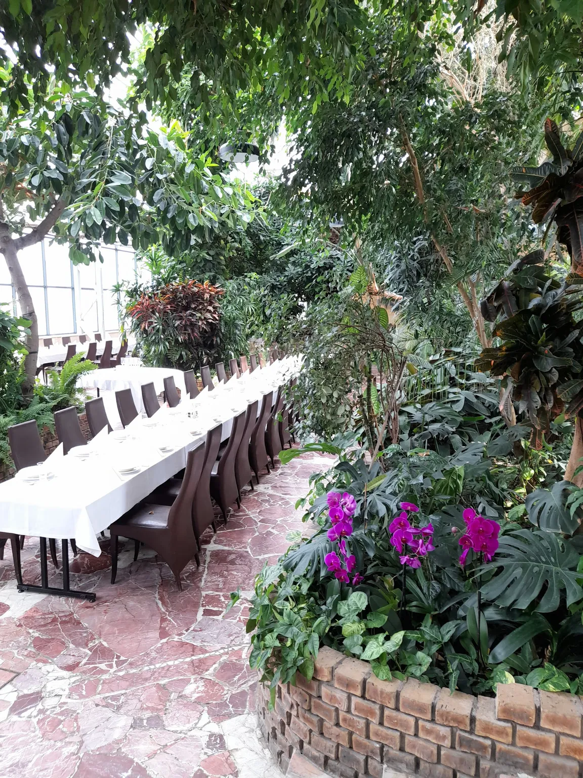 Restauracja Palmiarnia