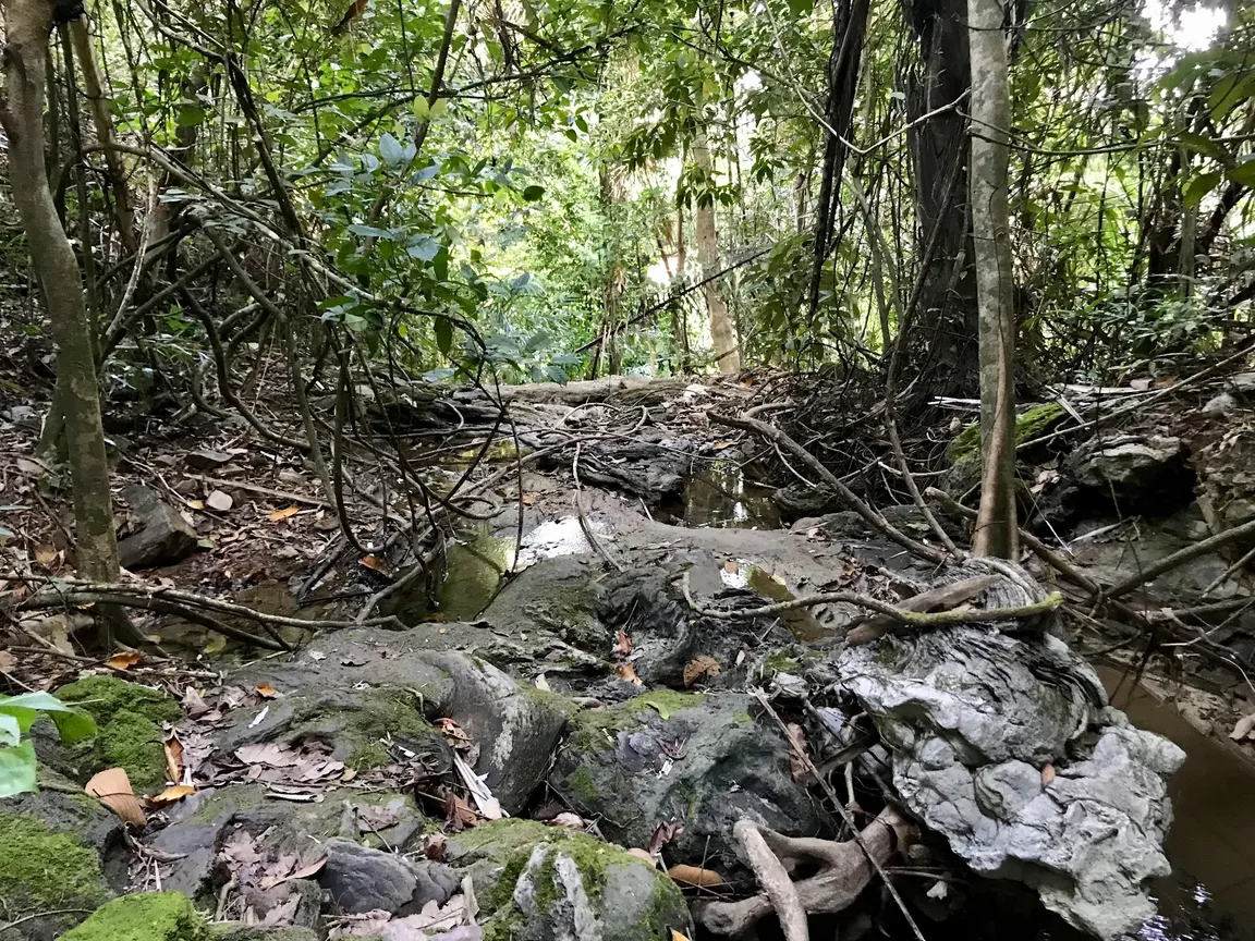 Tham Khao Mai Khew