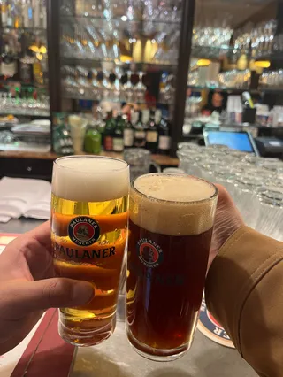 Paulaner´s im Taschenbergpalais