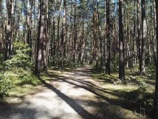 Ścieżka przyrodnicza "Bobrówka"