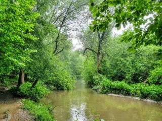 Nature Reserve "Valley Setun River"