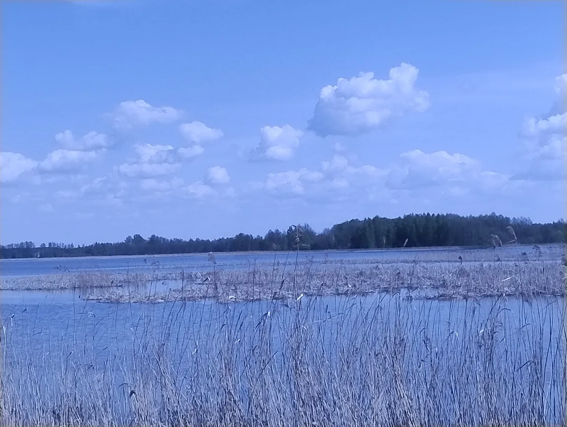 Jezioro Krasne-Krzczeń