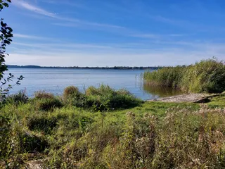 Dąbrowa