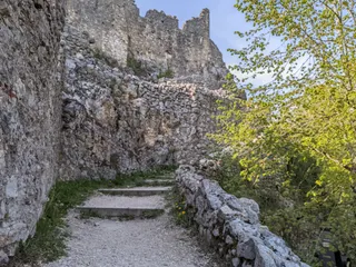 Ruine Schloss Neu-Falkenstein